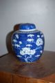 Chinese Antique Prunus & Hawthorn Jar - 19thc Vases photo 1