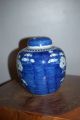 Chinese Antique Prunus & Hawthorn Jar - 19thc Vases photo 2