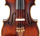 Fine,  Antique - Giuseppe Del Lungo - Italian Labeled Old 4/4 Master Violin String photo 4