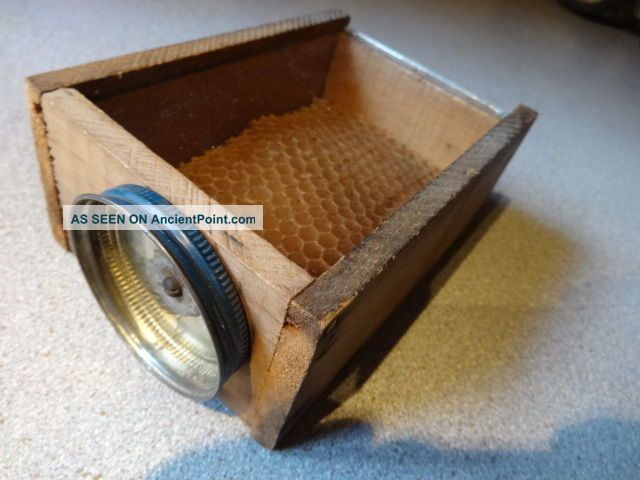 Vntg Wooden Box Slide Cover Queen Honey Bee Transporter Mailer Holder Apiary Primitives photo