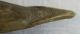Very Early Png Papua Guinea Canoe Prowl With Crocodile Carving Layby Ava Pacific Islands & Oceania photo 11