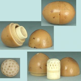Antique English Vegetable Ivory Thimble Egg W/ Child ' S Bone Thimble Circa 1870 photo