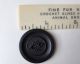 Antique Button Goodyear ' S 1851 Black Hard Rubber Large Size Buttons photo 4