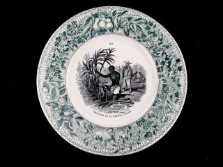 1850s French Bi - Color Transferware Plate La Canne A Sucre Harvesting Sugar Cane photo