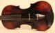 Old Masterpiece Italian Violin D.  N.  Amati 1731 Geige Violon Viola Violine Violino String photo 2