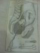 1797 Theoretische Unleitung Geburtshulfe Obstetrics Medicine Illustrated Other Medical Antiques photo 7