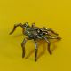 Wealth Spider Hunting Money Rich Luck Good Business Charm Thai Amulet Amulets photo 1