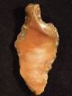 A Long Stemmed Aterian Artifact 55,  000 To 12,  000 Years Old Algeria 12.  5 Neolithic & Paleolithic photo 3
