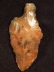 A Long Stemmed Aterian Artifact 55,  000 To 12,  000 Years Old Algeria 12.  5 Neolithic & Paleolithic photo 4