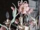 Vtg Petite Italian Tole - Toleware Chandelier Swag - White & Pink Flowers Adorable Chandeliers, Fixtures, Sconces photo 1
