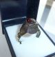 Medieval Bronze Polished Ring (b491) Other Antiquities photo 2