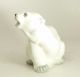 Polar Bear Cub White),  1970 