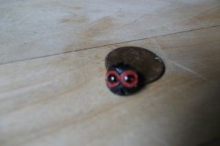 Antique Buttons,  Black Glass,  Owls photo