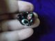 Antique Buttons,  Black Glass,  Owls Buttons photo 5
