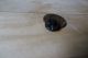 Antique Buttons,  Black Glass,  Owls Buttons photo 7