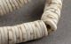 Ostrich Shell Beads / Average Size 9mm Other Ethnographic Antiques photo 3