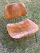 Authentic Charles & Ray Eames,  Herman Miller Lcm Plywood Lounge Chair Mid-Century Modernism photo 1