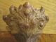 Antique Lion Paw Victorian Ball Claw Clawfoot Bathtub Tub Feet Cast Iron Vintage Bath Tubs photo 5