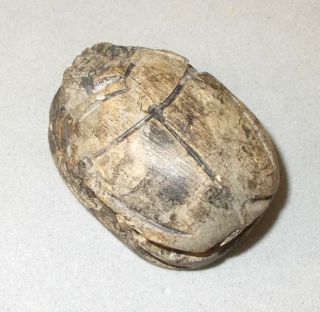 Antique Egypt Scarab Bead Carved Glyphs 22mmx30mm 1900cc photo