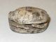 Antique Egypt Scarab Bead Carved Glyphs 22mmx30mm 1900cc Egyptian photo 1