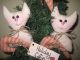 3 Handmade Christmas Fabric Cat Candy Canes Star Ornies Bowl Fillers Decor Primitives photo 2