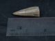 Ancient Stone Arrow Head Neolithic 4000 Bc B498 Neolithic & Paleolithic photo 1