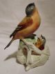 Finch With Nest Pair Group Decoration Porcelain Figurine Ens German Figurines photo 2