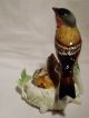 Finch With Nest Pair Group Decoration Porcelain Figurine Ens German Figurines photo 3