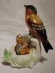 Finch With Nest Pair Group Decoration Porcelain Figurine Ens German Figurines photo 4