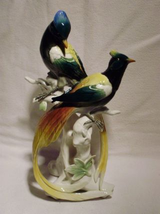 Bird Of Paradise Pair Group Decoration Porcelain Figurine Ens German photo