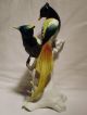 Bird Of Paradise Pair Group Decoration Porcelain Figurine Ens German Figurines photo 3