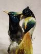 Bird Of Paradise Pair Group Decoration Porcelain Figurine Ens German Figurines photo 4