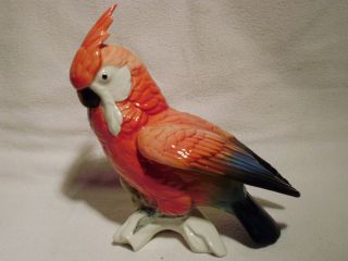 Cockatoo Bird Parrot Decoration Porcelain Figurine Ens German photo