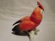 Cockatoo Bird Parrot Decoration Porcelain Figurine Ens German Figurines photo 2