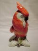 Cockatoo Bird Parrot Decoration Porcelain Figurine Ens German Figurines photo 3