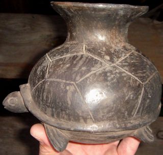Turtle Effigy Pot,  Poinsett County,  Arkansas.  19th Century Find photo