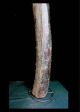 Fine Tribal Bamum Large Trumpet Cameroon African photo 2