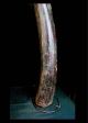 Fine Tribal Bamum Large Trumpet Cameroon African photo 4