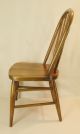 Vtg 1940 - 50 ' S Large Child ' S Youth Solid Oak Wood Bentwood Back Chair Med.  Stain 1900-1950 photo 2