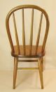 Vtg 1940 - 50 ' S Large Child ' S Youth Solid Oak Wood Bentwood Back Chair Med.  Stain 1900-1950 photo 3