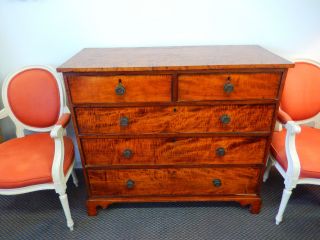 Exquisite Antique 19th C Birdsey/tiger Maple Drawer Chest Of Drawers Eagle Pulls photo