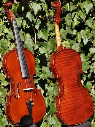 Vintage Czech Violin - Ladislav F.  Prokop,  Chrudim,  1934.  Big Tone,  Fine Build photo