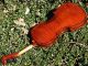 Vintage Czech Violin - Ladislav F.  Prokop,  Chrudim,  1934.  Big Tone,  Fine Build String photo 5