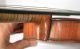 1730 Stainer 4/4 Violin - Jacobus Stainer In Absum Prope Oenipontum - Rep.  1928 String photo 10
