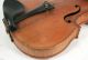 1730 Stainer 4/4 Violin - Jacobus Stainer In Absum Prope Oenipontum - Rep.  1928 String photo 3