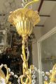 Antique French Huge Spider Style Crystal Chandelier Lamp 1940s 19in Diametr Chandeliers, Fixtures, Sconces photo 4