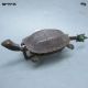 Rare Chinese Old Style Brass Carved Turtle Shape Lock And Key Other Chinese Antiques photo 1