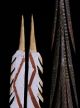 3 Early Aboriginal Decorated Spears Tiwi & Arnhem Land Pacific Islands & Oceania photo 4