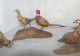 5 Vintage Hand Carved Wood Bird Pairs Ronald Holmes Cardinals Pheasants Quail, Carved Figures photo 2