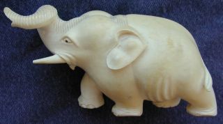 Rare Early Chinese Ivory Color Bone Hand Carved Lucky Elephant Animal photo